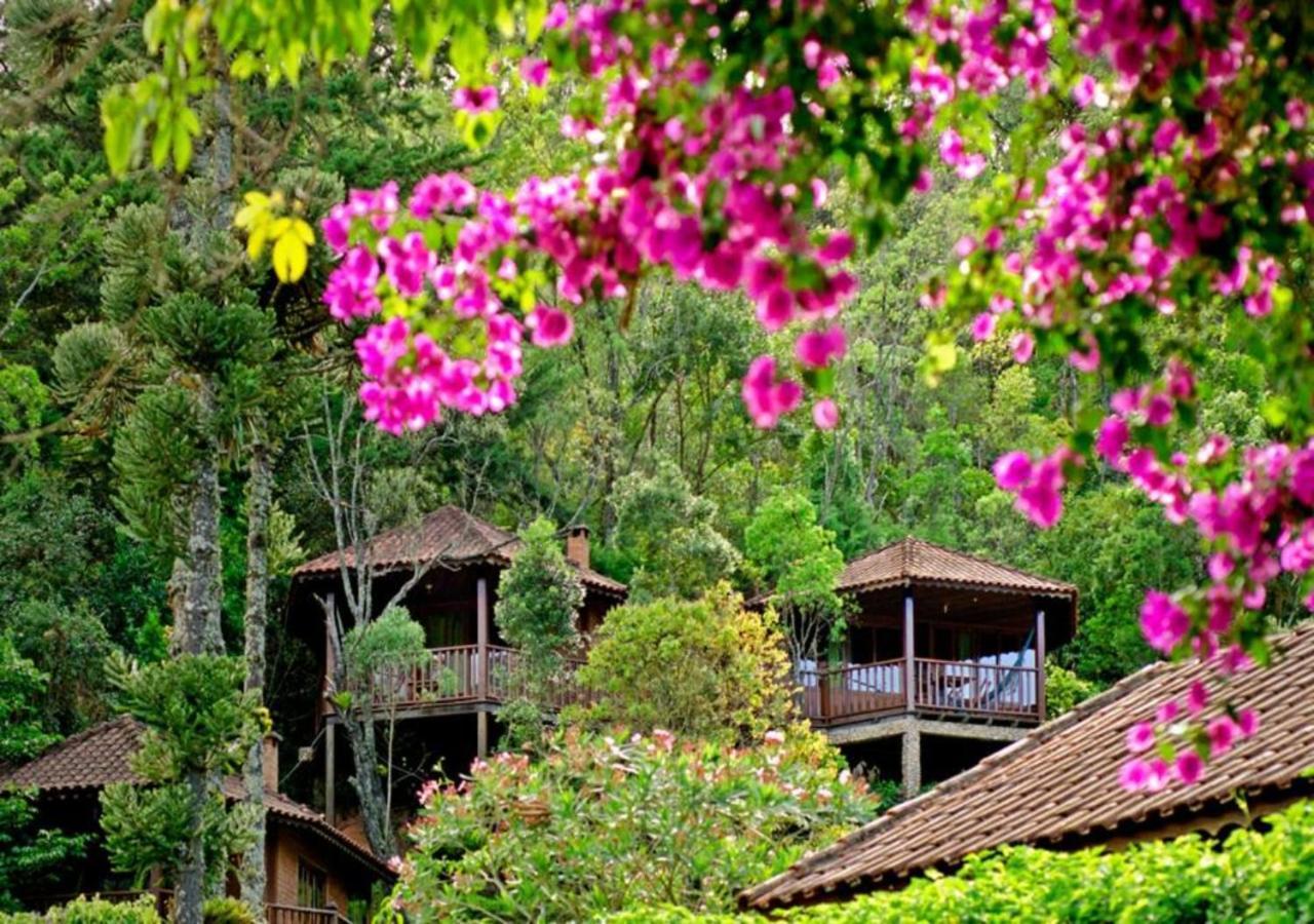 Hotel Pousada Das Araucarias à Visconde de Mauá Extérieur photo